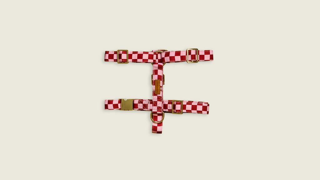 Cherry Checkered Harness