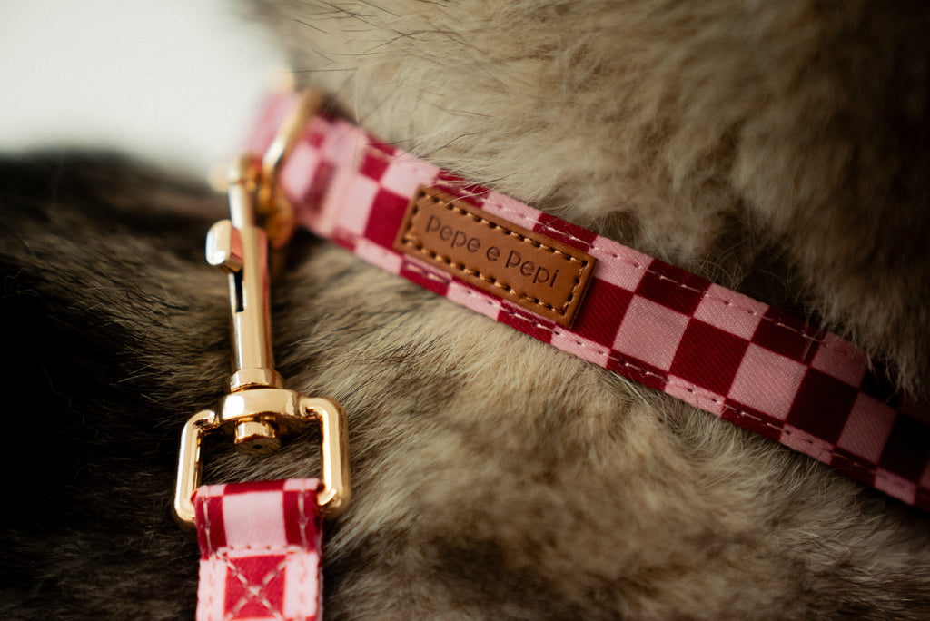 Cherry Checkered Collar