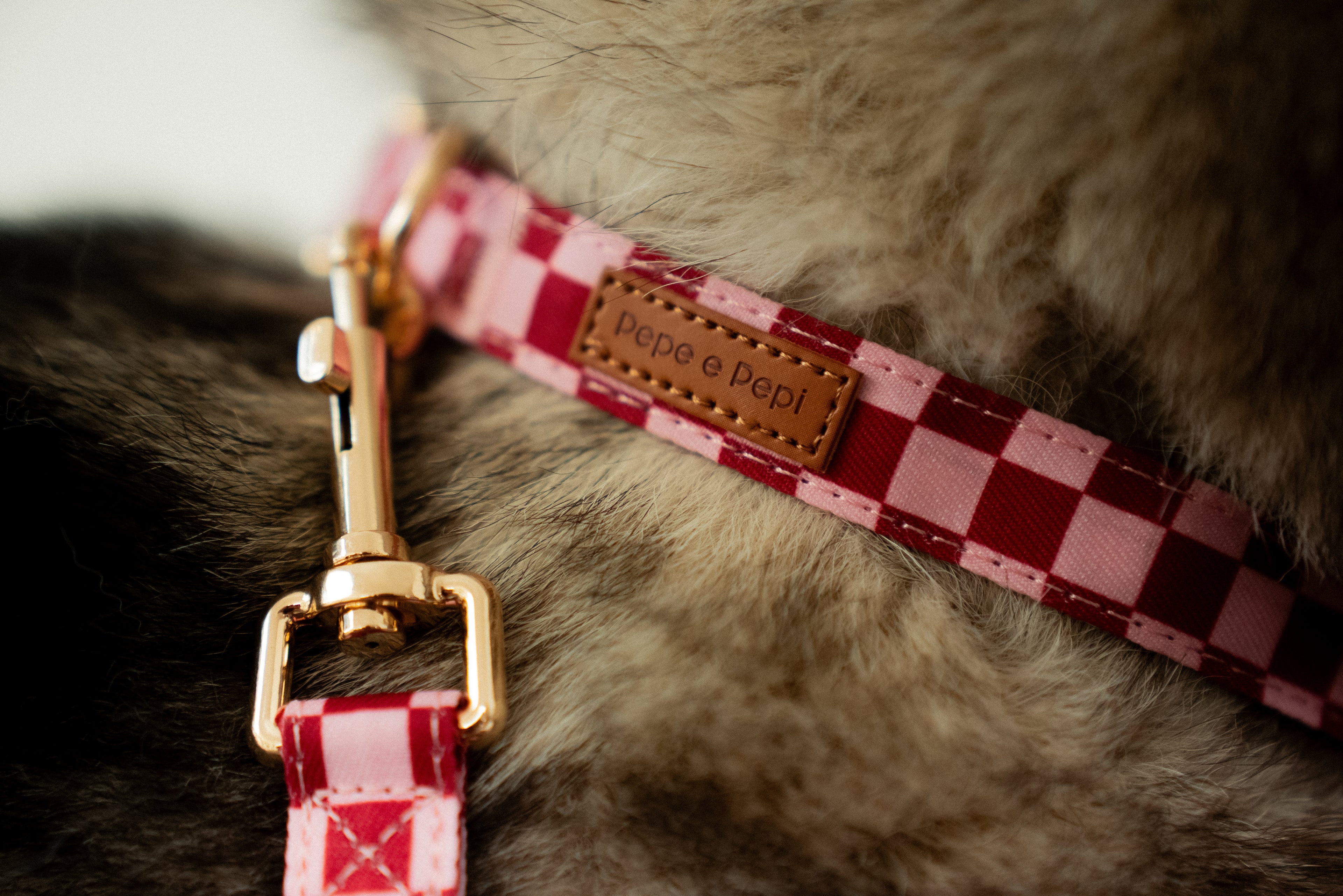 Cherry Checkered Collar