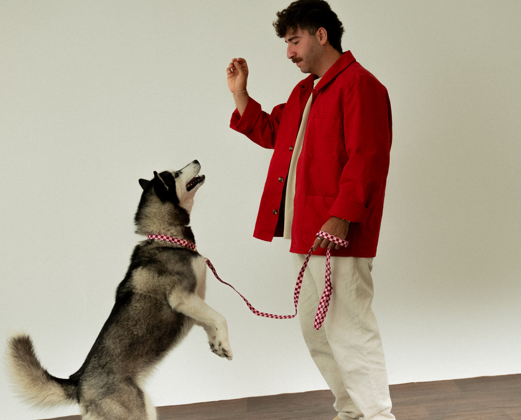 Cherry Checkered Leash