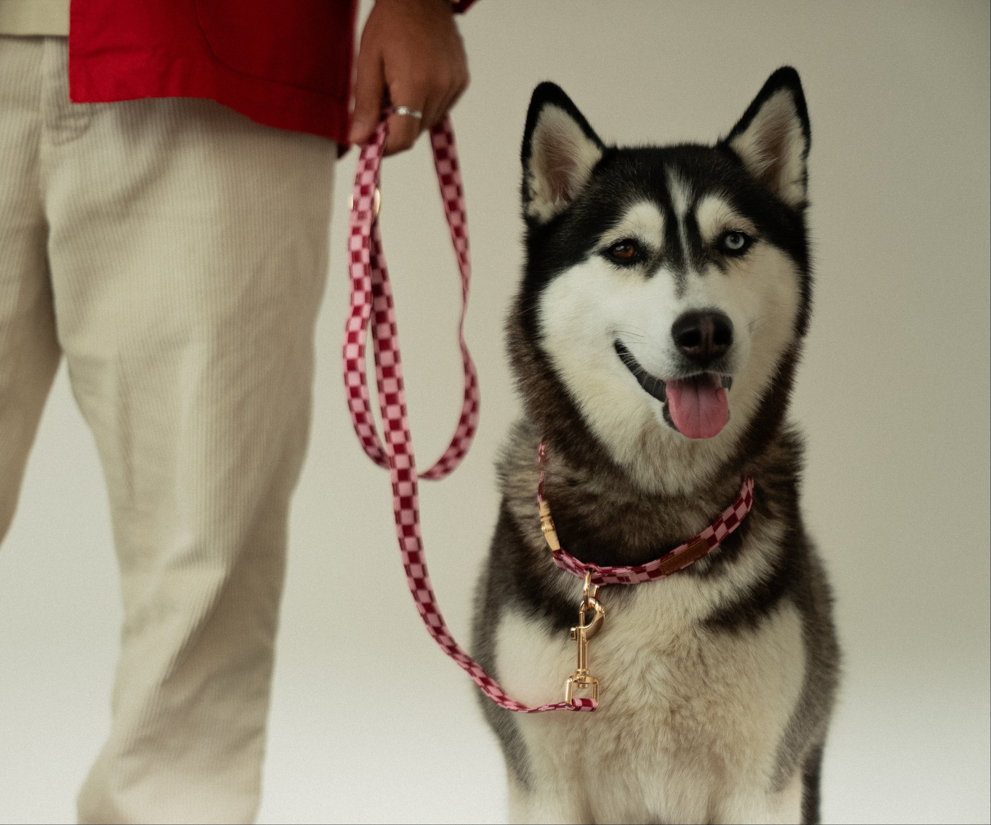 Cherry Checkered Collar