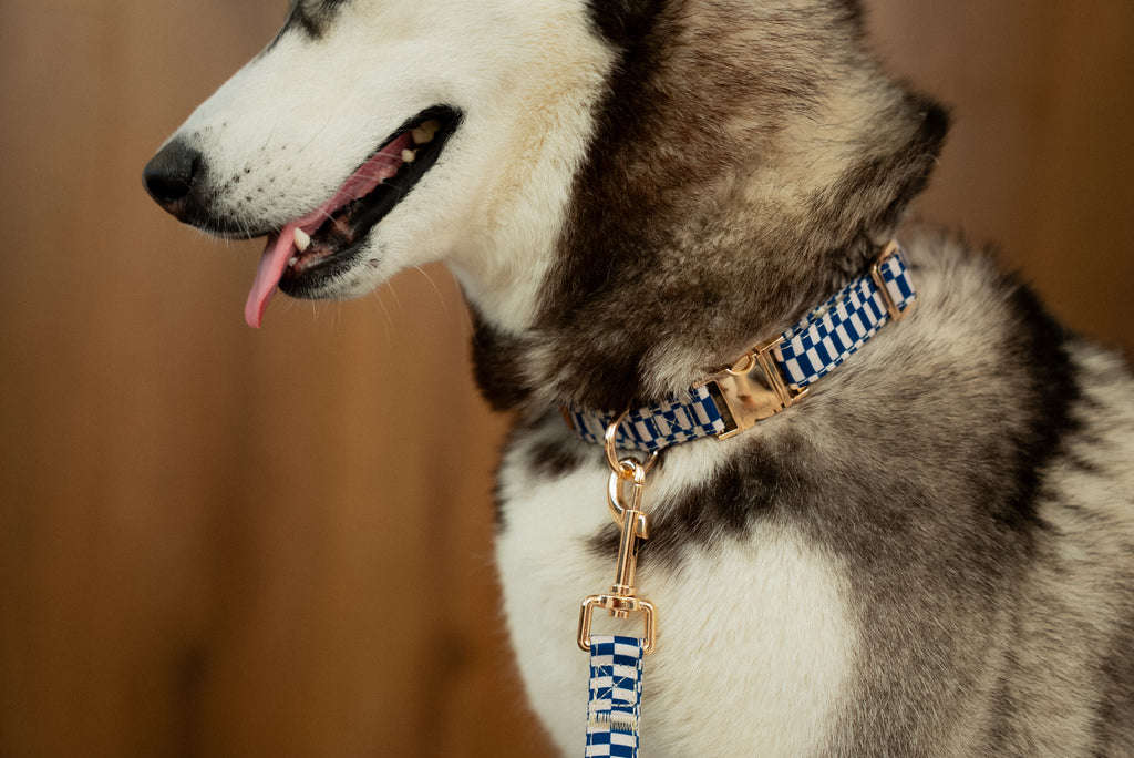 Retro Blue Collar