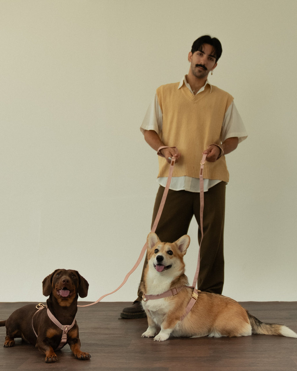 Latte Lines Harness