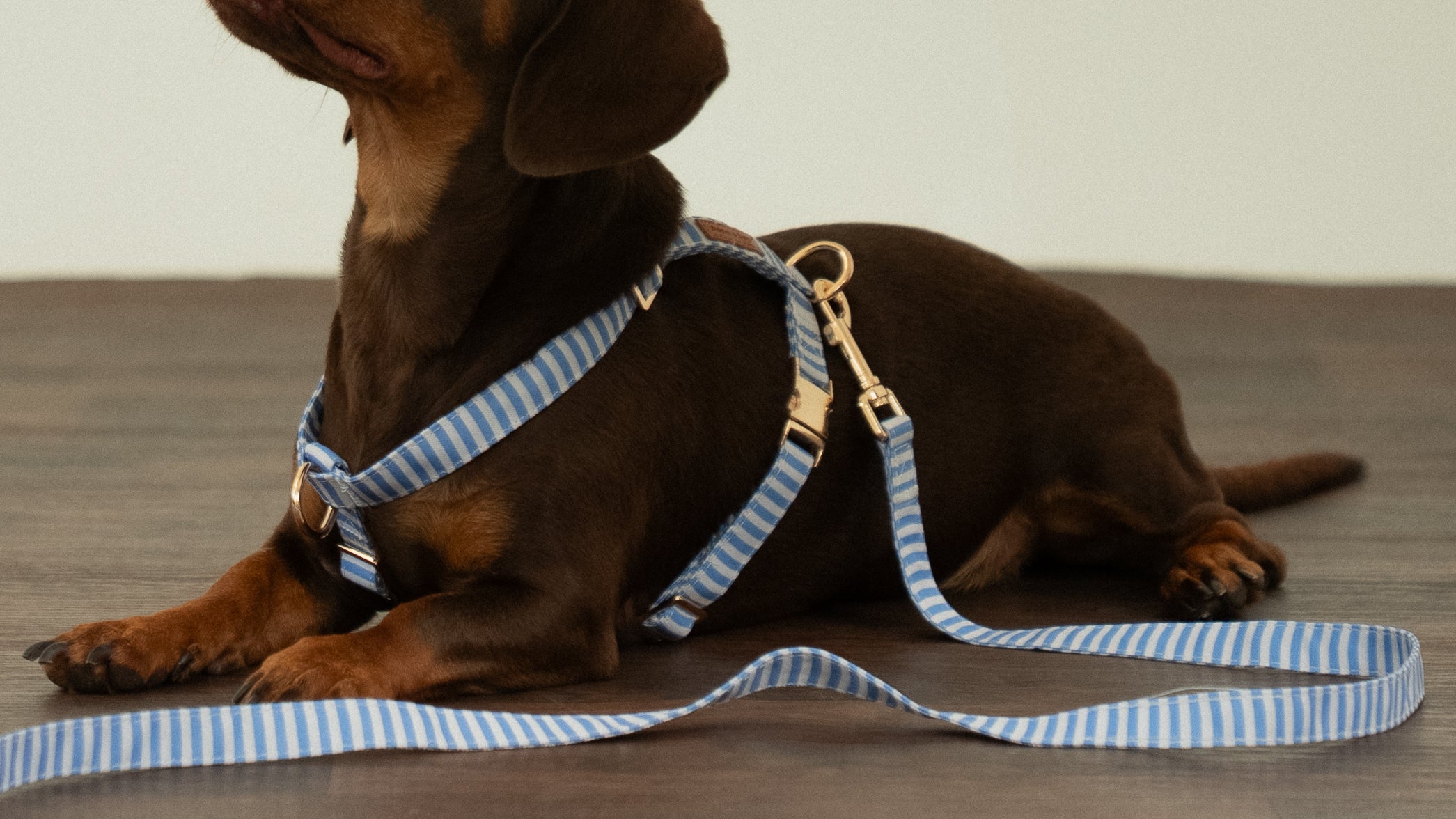 Sailor Stripes Leash