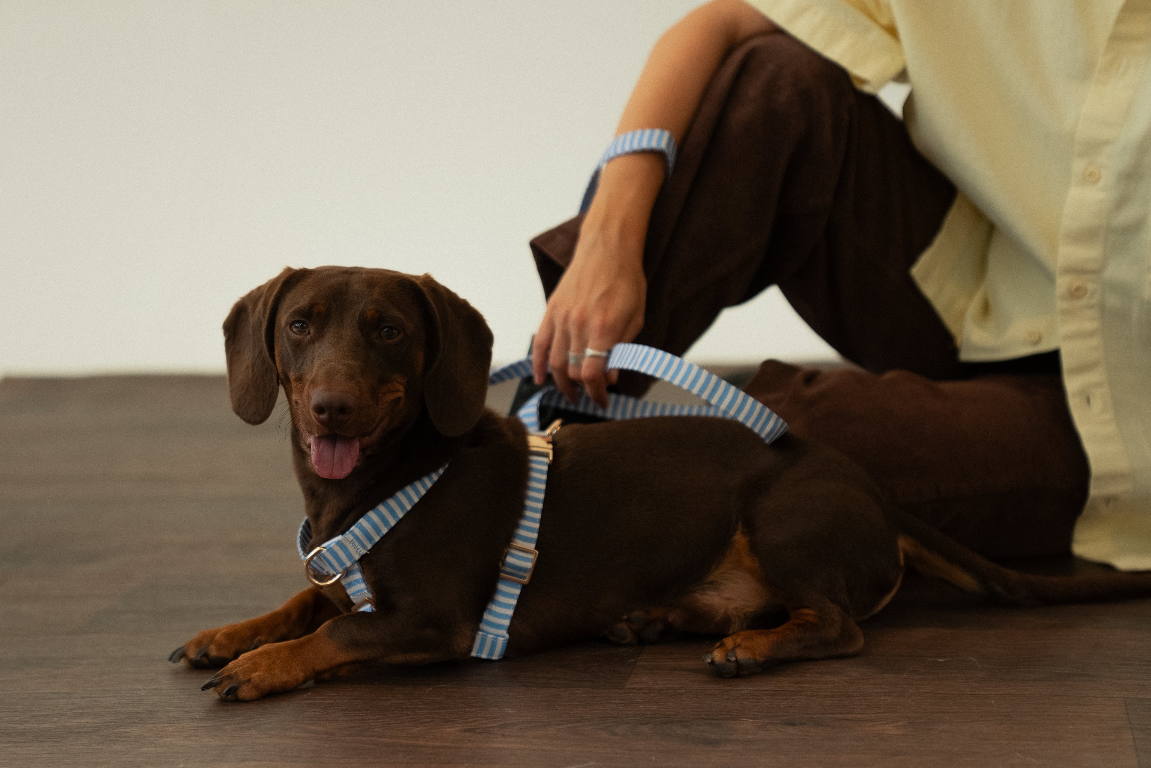 Sailor Stripes Harness