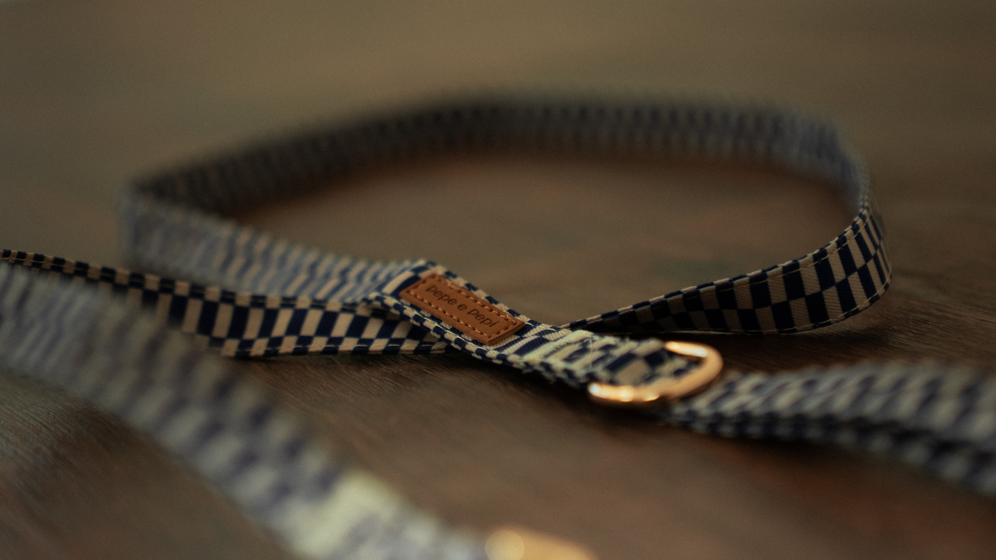 Retro Blue Leash