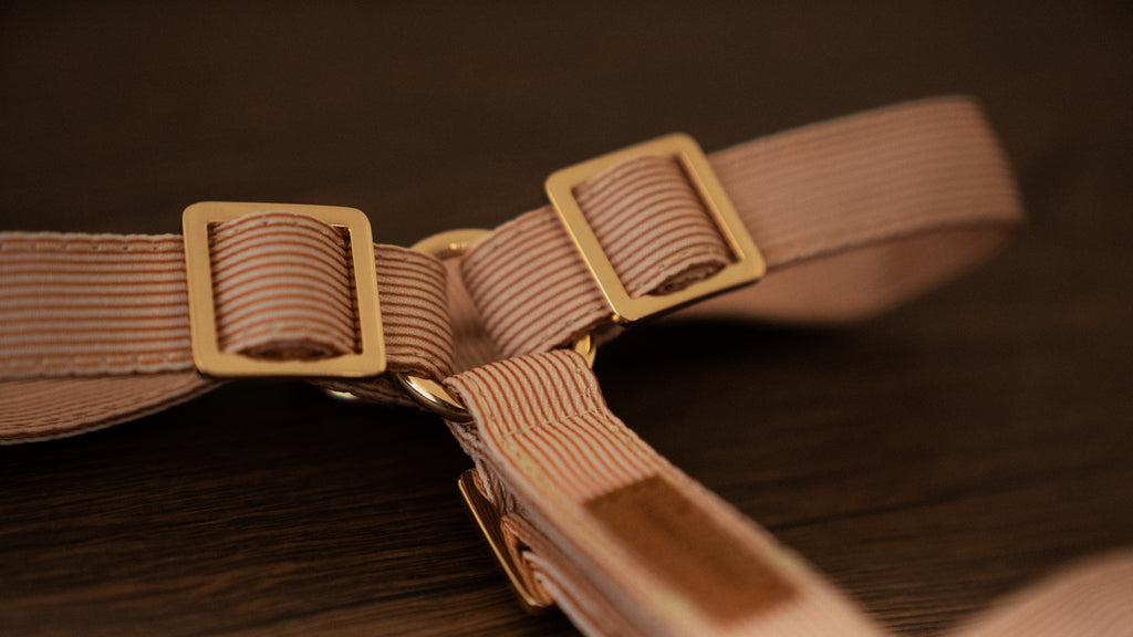 Latte Lines Harness