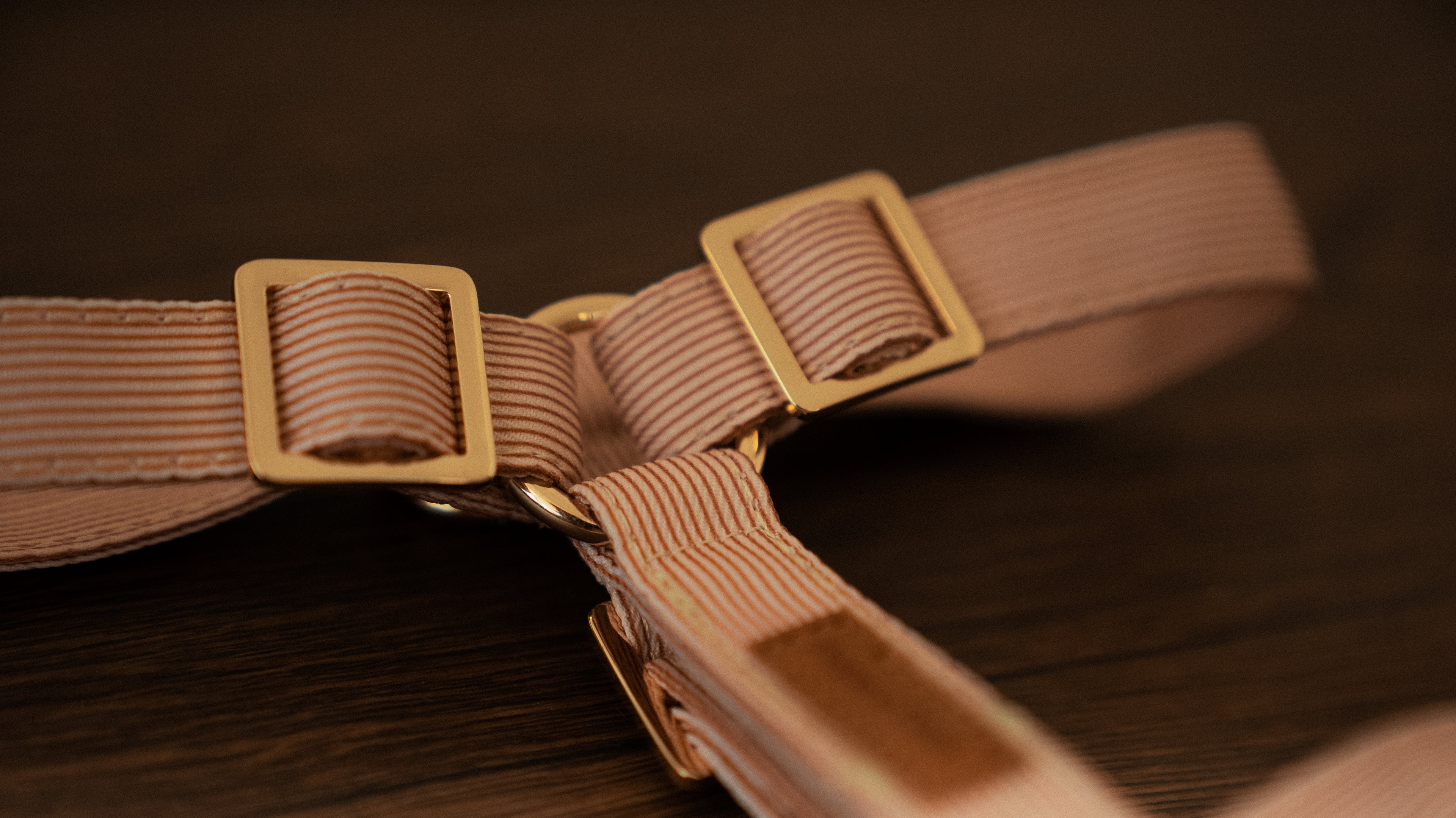 Latte Lines Harness