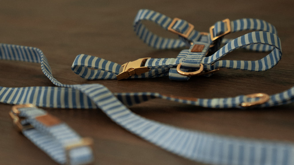 Sailor Stripes Harness