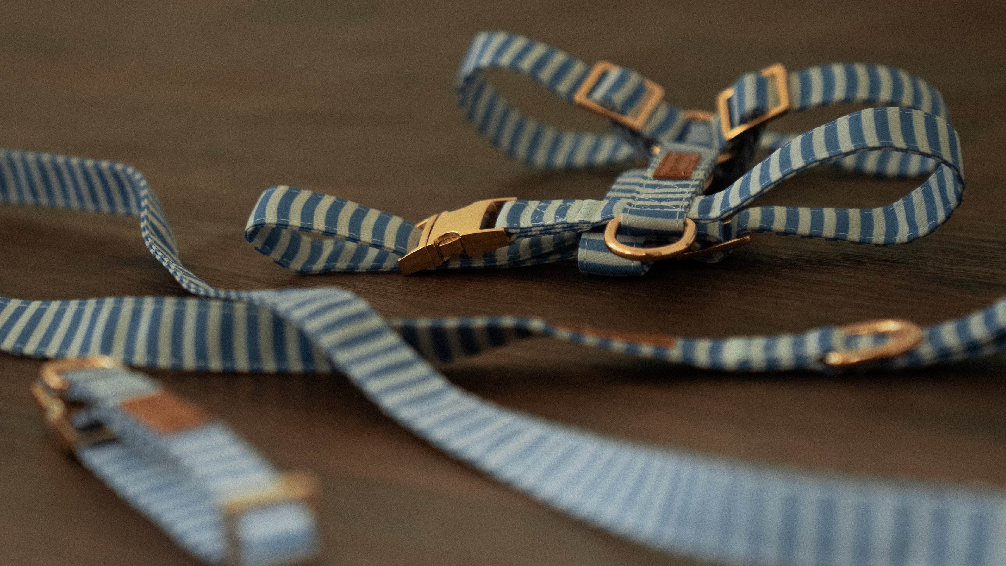 Sailor Stripes Harness