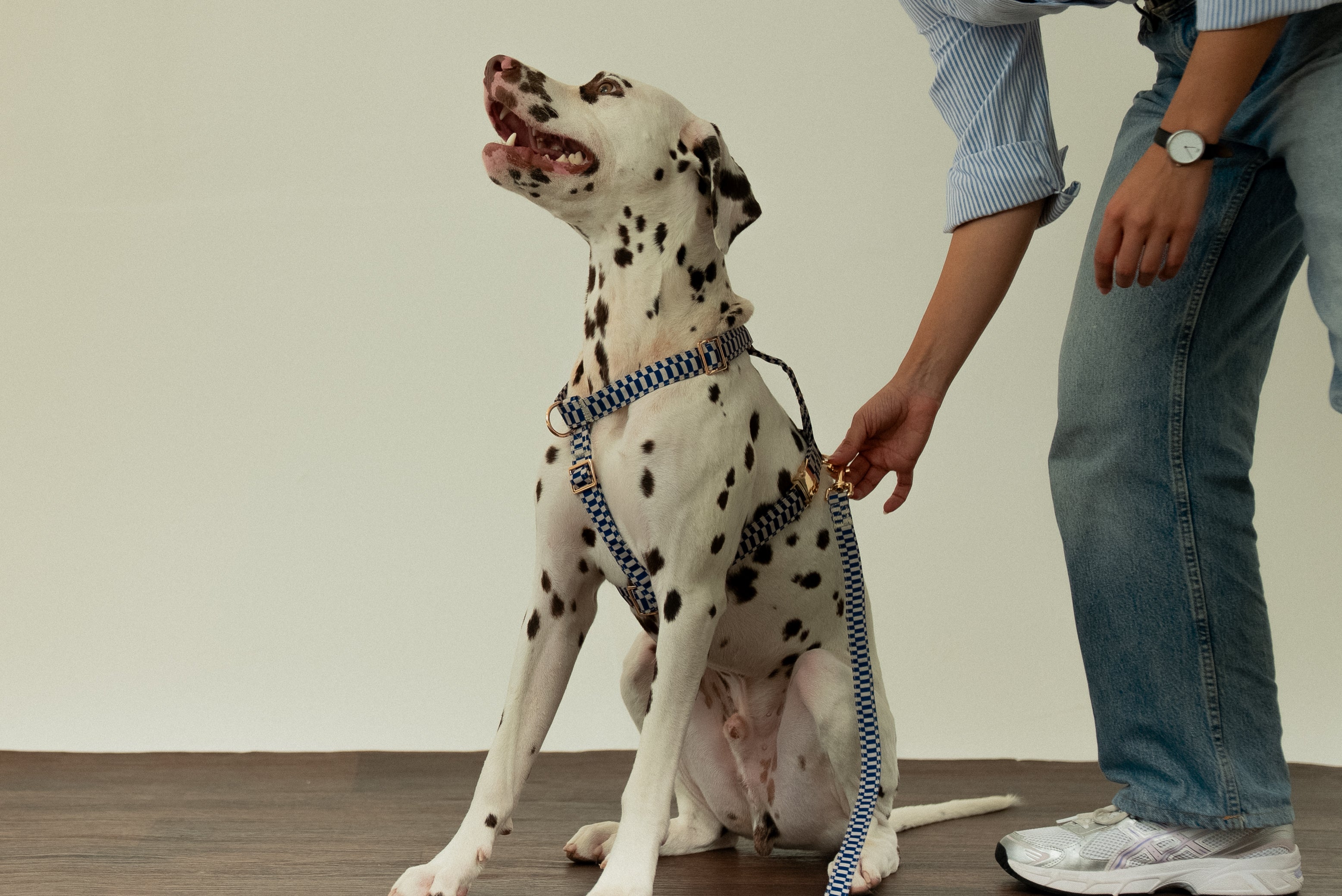 Retro Blue Leash