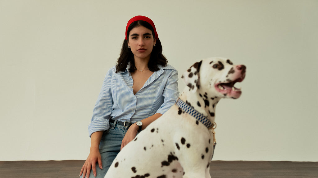 Retro Blue Collar