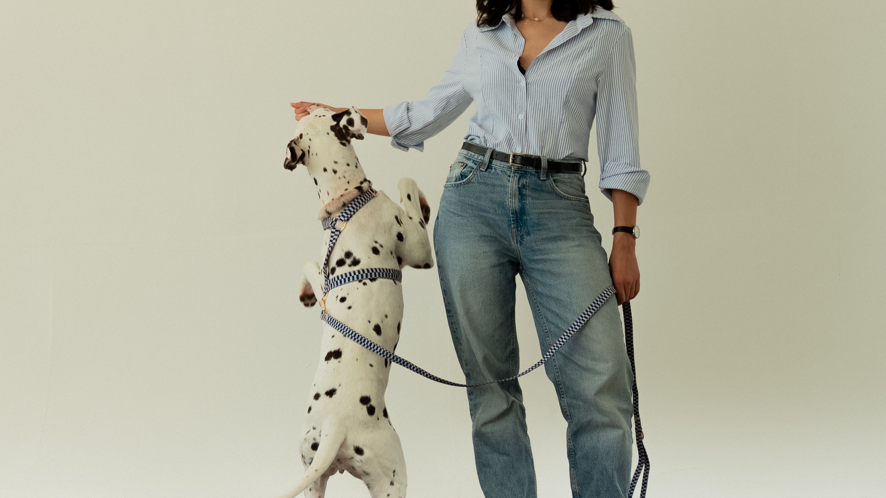 Retro Blue Leash