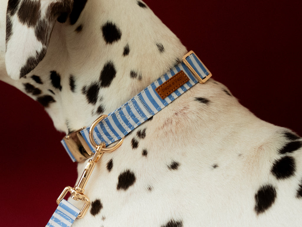 Sailor Stripes Collar