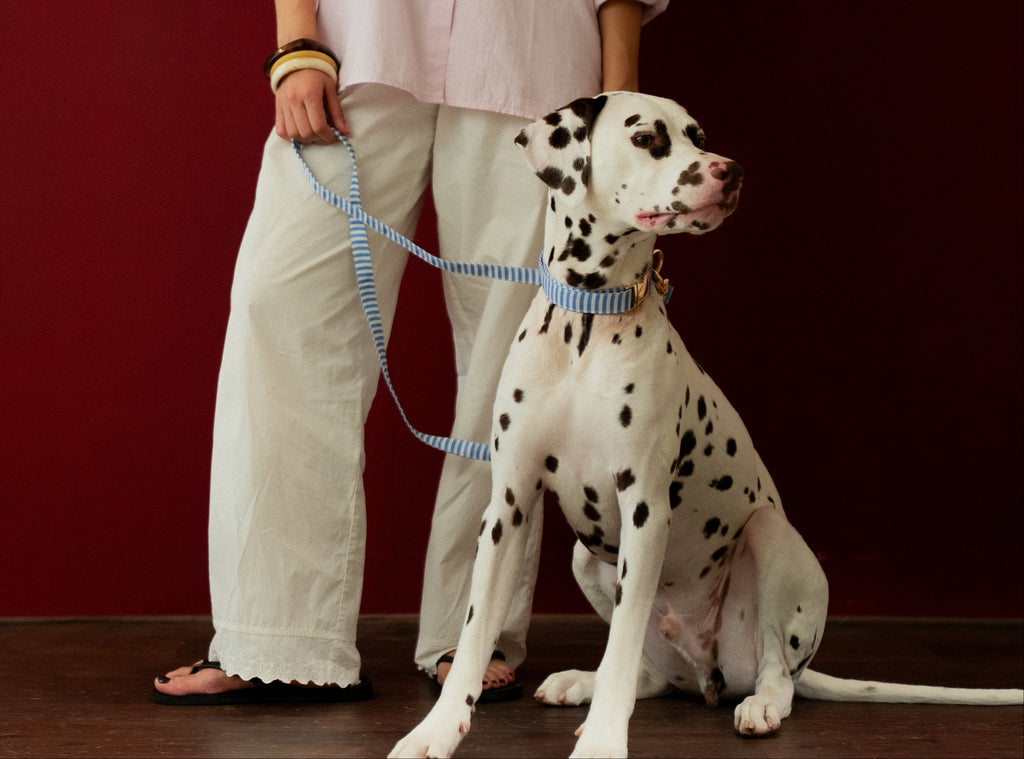 Sailor Stripes Collar