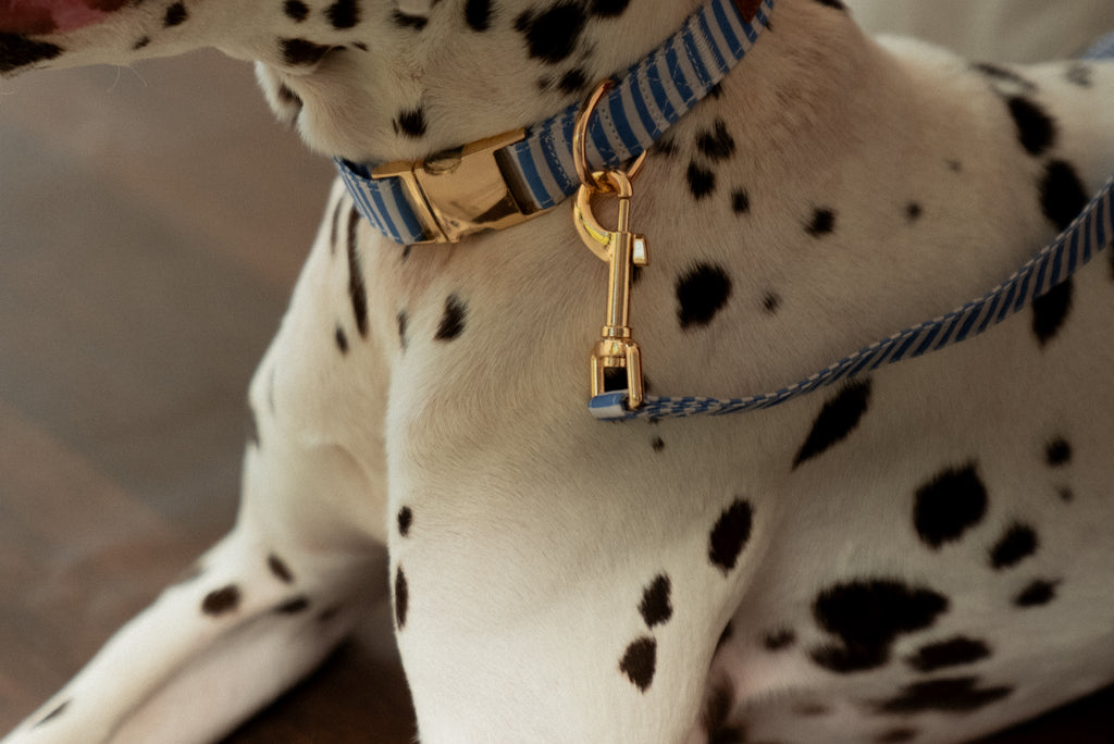 Sailor Stripes Collar
