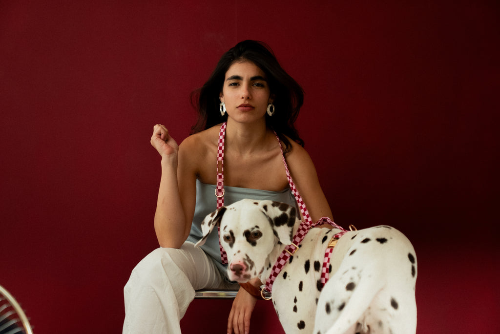 Cherry Checkered Harness
