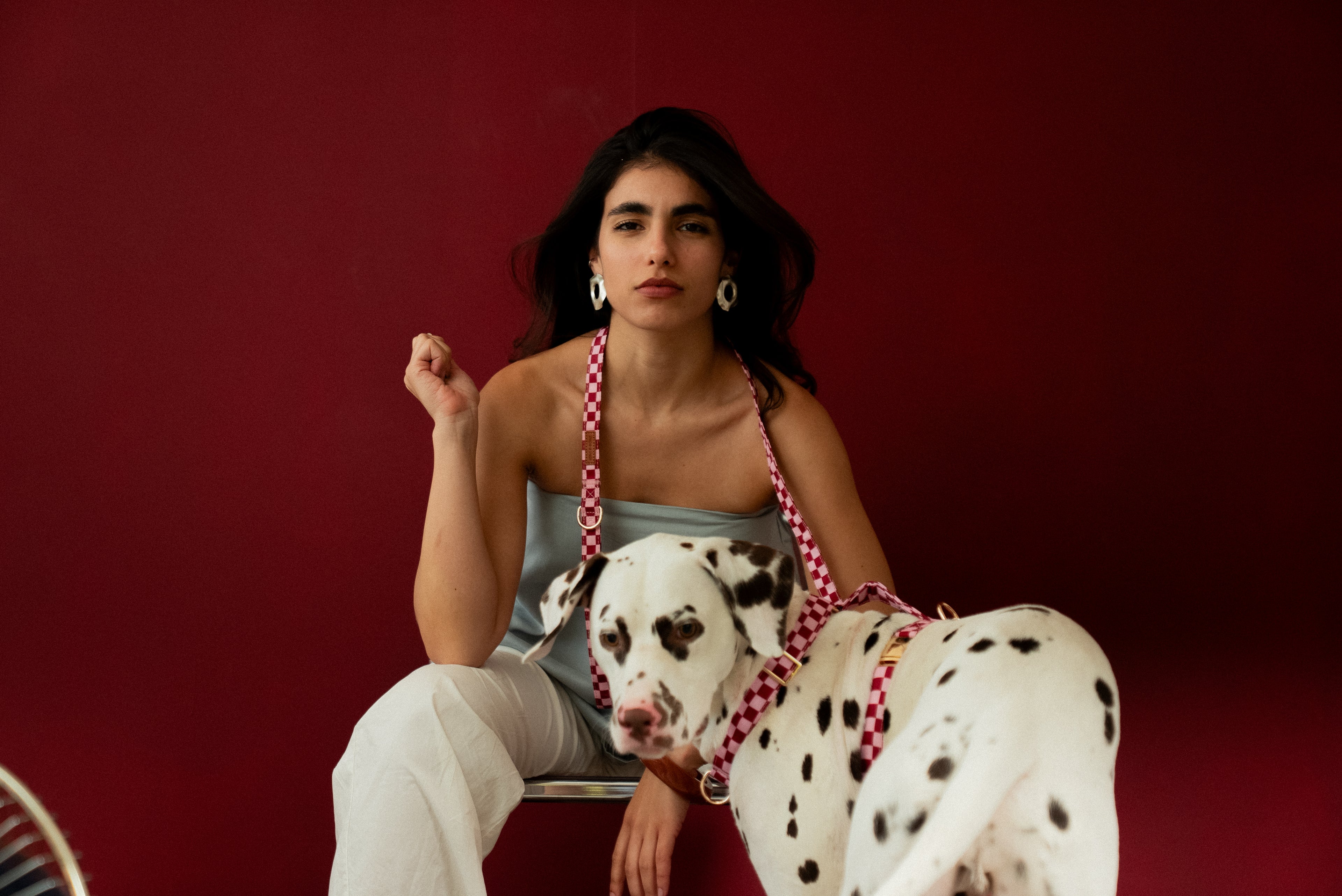 Cherry Checkered Harness