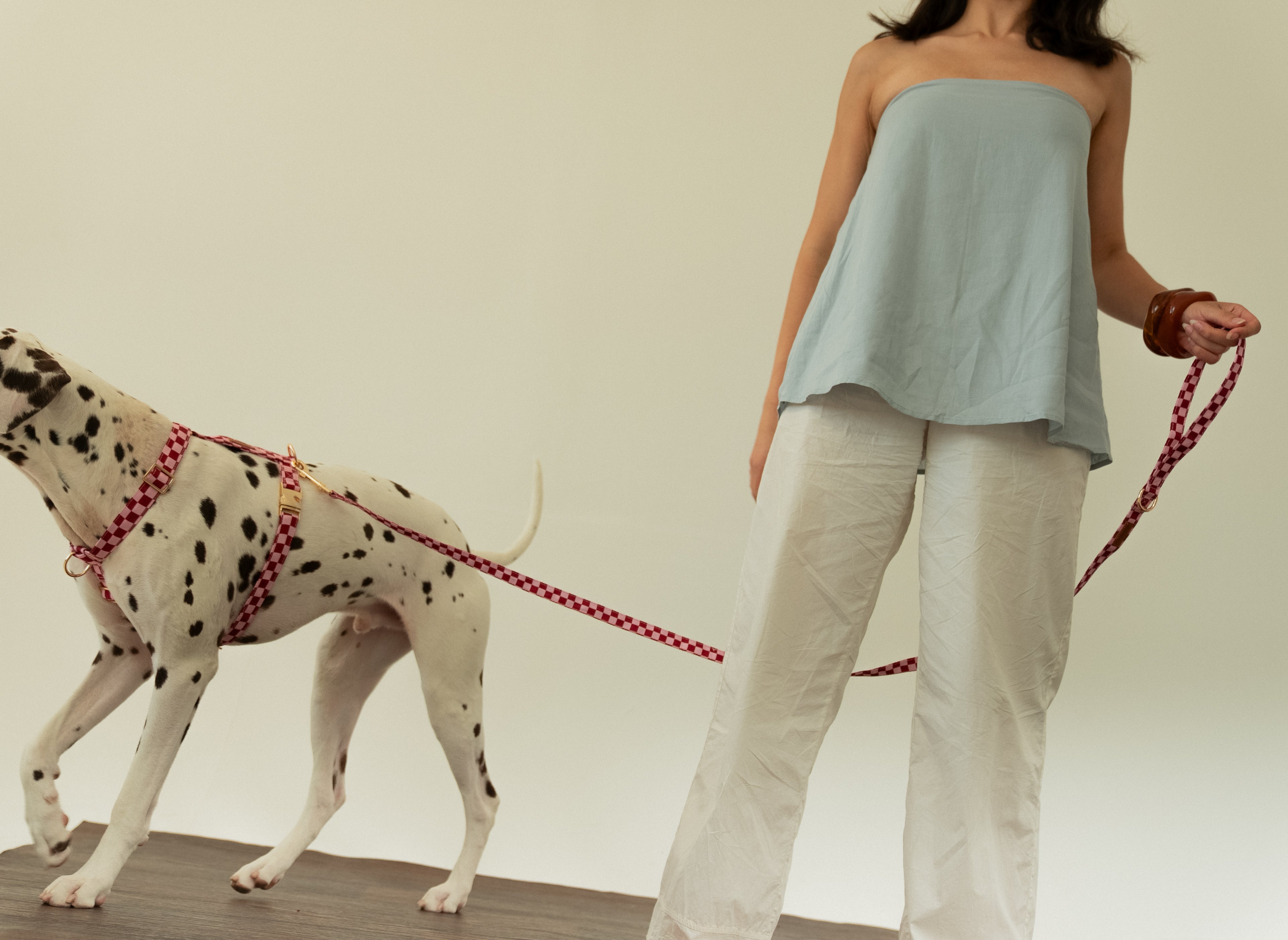 Cherry Checkered Leash