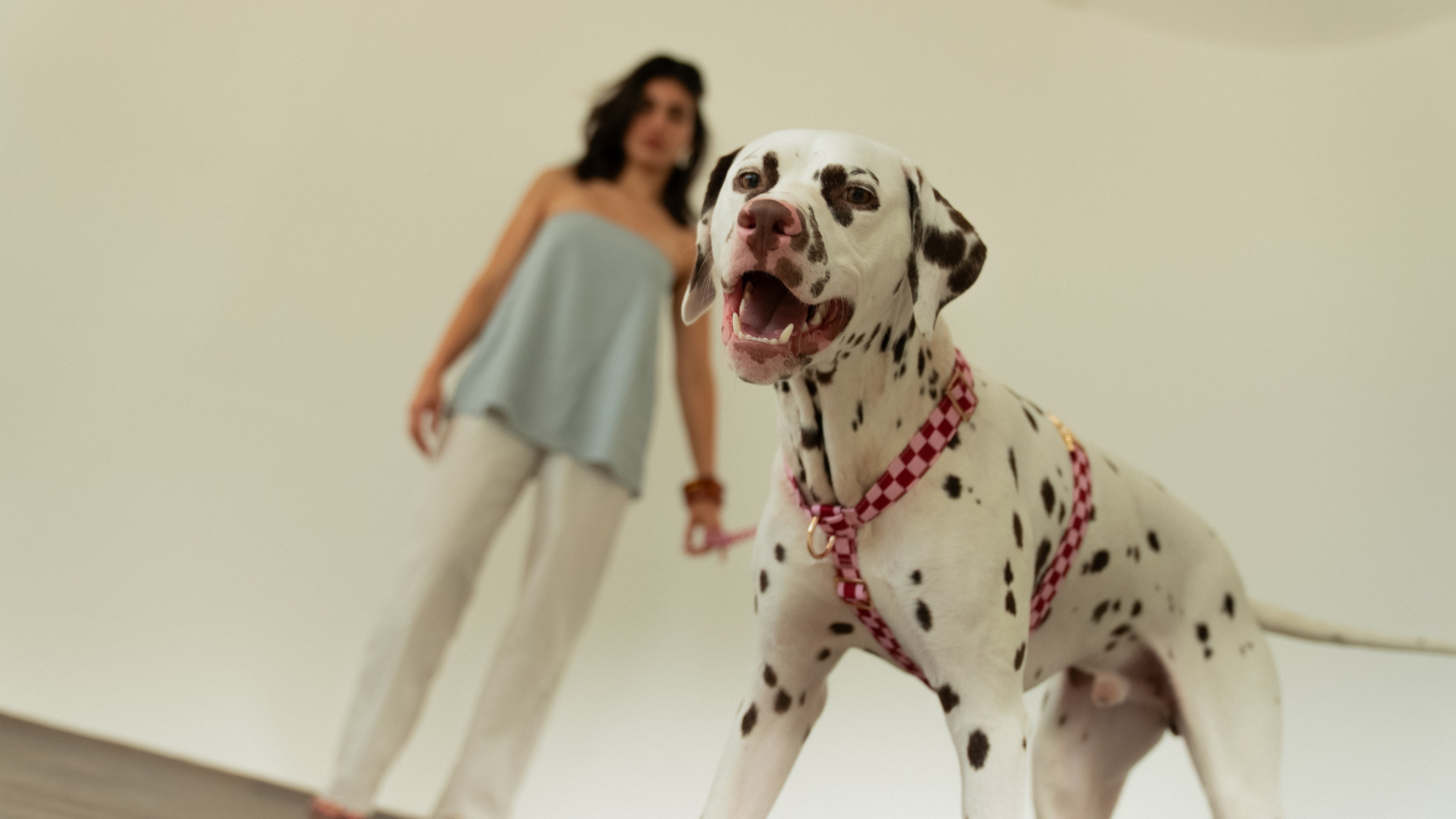 Cherry Checkered Harness