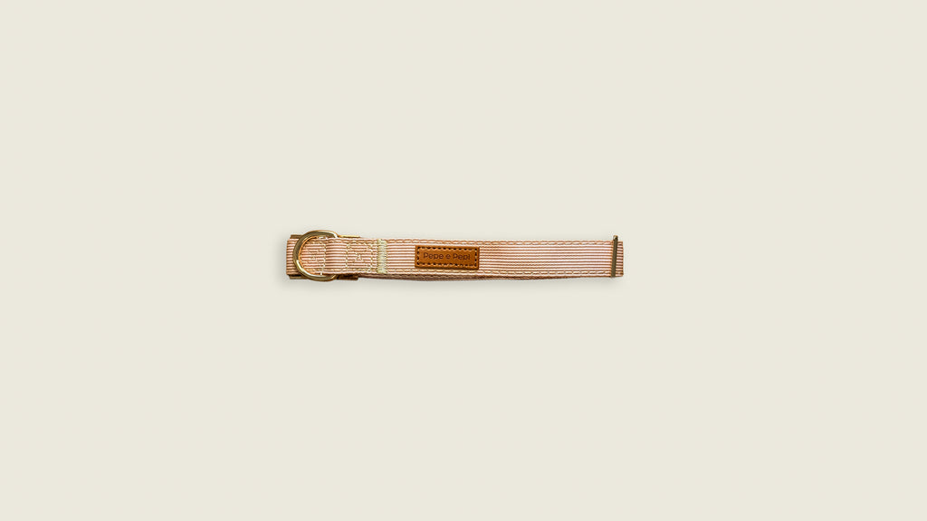 Latte Lines Collar