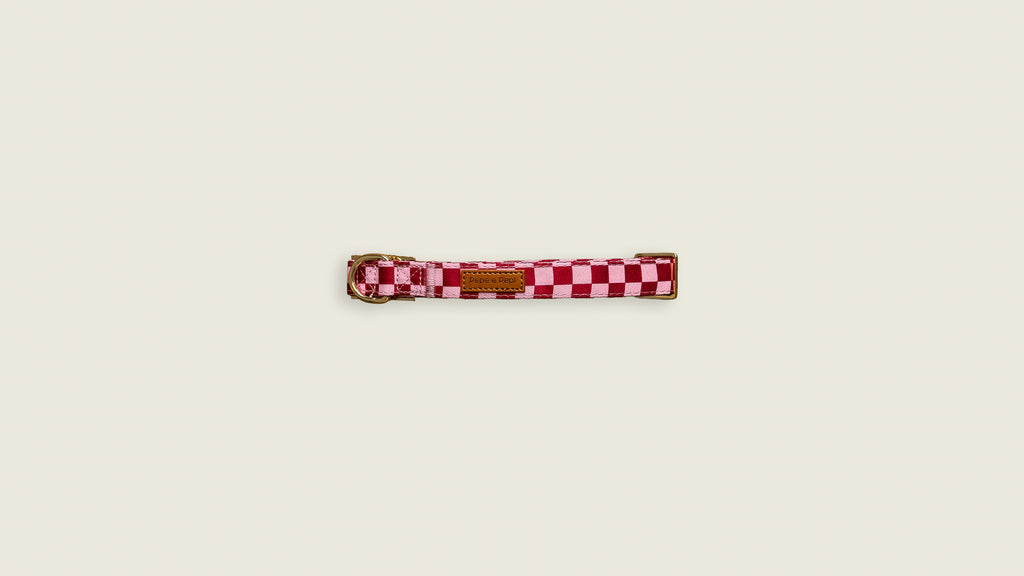 Cherry Checkered Collar