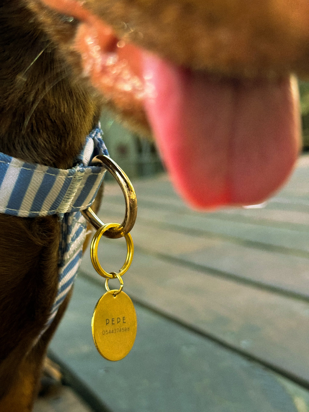ID Tag