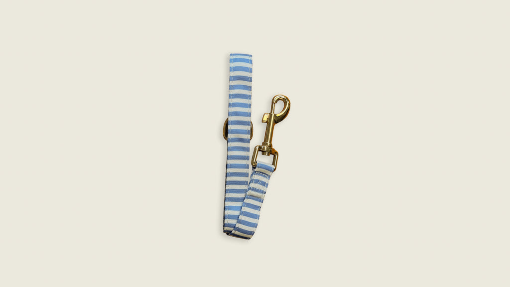 Sailor Stripes Leash